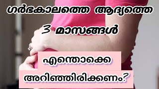 ഗർഭകാലത്തെ ആദ്യത്തെ 3 മാസങ്ങൾ എന്തൊക്കെ അറിഞ്ഞിരിക്കണംfirst trimester of pregnancy malayalam [upl. by Eerdna]