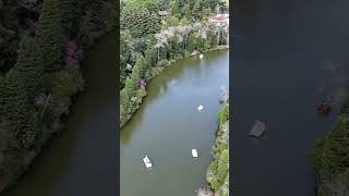 Lago negro  Gramado pedalinho lagos gramado [upl. by Garratt937]