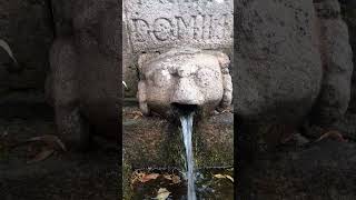 EXPLORING A 15TH CENTURY CHURCH IN BODMIN CORNWALL UK [upl. by Lincoln]