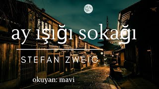 Ay Işığı Sokağı  Stefan Zweig Sesli Hikaye Öykü Tek Parça [upl. by Jilleen]