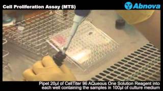 Cell Proliferation Assay MTS [upl. by Broome]