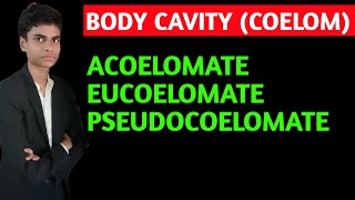 What is body cavity  coelom  Acoelomate pseudocoelomate eucoelomate  All concepts explained [upl. by Washko]