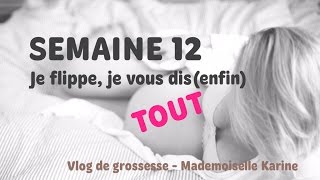 046 VLOG de grossesse semaine 12  je vous dis TOUT Mademoiselle Karine [upl. by Kciv793]