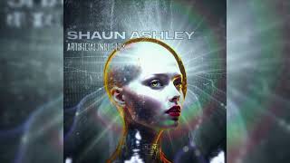 Shaun Ashley  Artificial Industry HQ [upl. by Wylen]