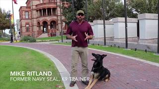 Mike Ritlands Team Dog Online Training [upl. by Carmita]