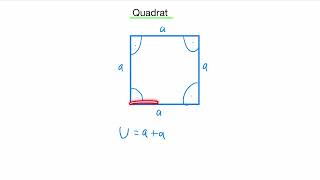 Quadrat  Eigenschaften Umfang Flächeninhalt [upl. by Arais]