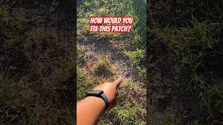 HOW TO FIX GRASS PATCH  Ugly Yard Repair IMWGC [upl. by Llewej]