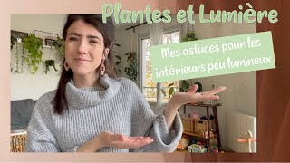 Peu de lumière pour vos plantes dintérieur  Toutes mes astuces [upl. by Ycam]