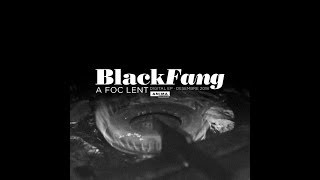 BlackFang feat Dj Enzo  A foc lent [upl. by Adnarem]