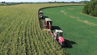 Chopping Our Biggest Field  Corn Silage 2023 [upl. by Letsirc]