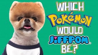 Which Pokemon Would Jiffpom Be [upl. by Aivital]