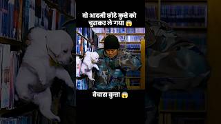 इस प्यारे से कुत्ते के बच्चे को उस आदमी ने चुरा लिया 😱  short anime cartoon dog [upl. by Vonny]