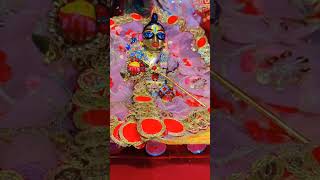 NAVRATRI🙏🏻☺️🙏🏻kanhaiyaladduladlijilaaljibankeybiharijitrendingshortsvlogbhajansong [upl. by Azzil]