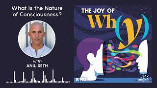 What Is the Nature of Consciousness  Podcast The Joy of Why [upl. by Ailegnave]