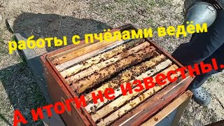 1104Весенние Работы на ПасекеА есть ли Смысл Работ Останится ли Пасека Целая пригород Харькова [upl. by Reiner]