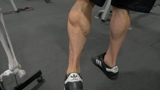 HowTo Build Big Calves  Best Gastrocnemius and Soleus Exercises  Advanced Training 24 [upl. by Judie]