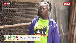 KILIMO DIARIES  Poultry Farming [upl. by Halima]