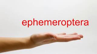 How to Pronounce ephemeroptera  American English [upl. by Colton]