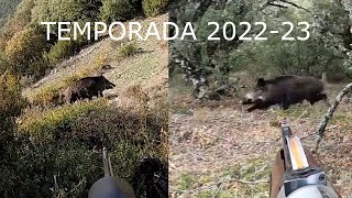 CAZA DEL JABALÍ EN NAVARRA Y ARAGÓN TEMPORADA 2022 23 40 LANCES A JABALÍ 🐕🐗 [upl. by Aselehc]