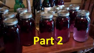 How To Make Easy Homemade WinePart 2 Making Blackberry Wine [upl. by Saville699]