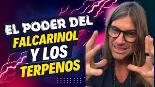 El Dr Ludwig Johnson revela el poder de FALCARINOL y Los Terpenos [upl. by Trovillion]