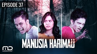 Manusia Harimau  Episode 37 [upl. by Pillyhp559]