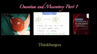 Omentum and Mesentery Part 1 [upl. by Eerok]