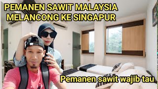 pemanen sawit Malaysia melancong ke Singapur [upl. by Vladimar]