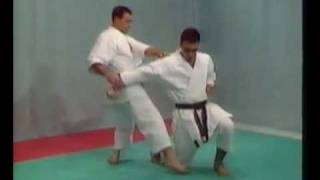 karate kata shotokan amp bunkai bassai dai [upl. by Combes110]