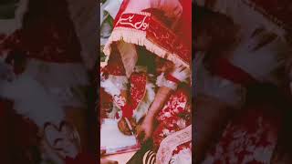 Nikah ceremony ♥️ song shortsfeed wedding ytshots [upl. by Leavelle720]