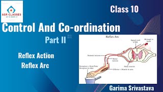 Control And Coordination PartII [upl. by Khalid]