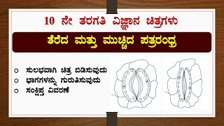 ತೆರೆದ ಮತ್ತು ಮುಚ್ಚಿದ ಪತ್ರರಂಧ್ರಚಿತ್ರ ಬಿಡಿಸುವುದುಭಾಗಕಾರ್ಯವಿಜ್ಞಾನStomataDrawingScienceSSLC [upl. by Salomon]