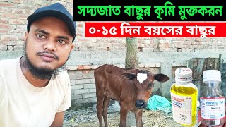 সদ্যজাত বাছুরের  ০১৫ দিন বয়সে কৃমিমুক্তকরন  basorer krimi owsod  বাছুরের কৃমি  Calf worm [upl. by Hcardahs]