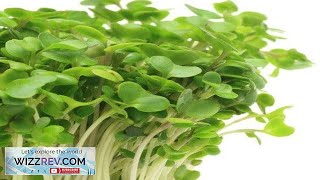 SproutsMicrogreens Broccoli – Seeds Review [upl. by Auop]