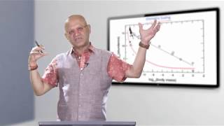 Allometric and Isometric Scaling  Prof Raghu Murtugudde [upl. by Race738]