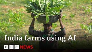 Artificial intelligence comes to farming in India  BBC News [upl. by Oigufer]