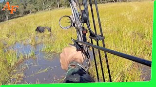 🐗 Pig Compound Bow Hunting Australia Wild Boars EP21 [upl. by Asiel532]