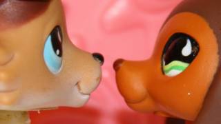 Littlest Pet Shop Popular Episode 6 Moments of Reflection [upl. by Lenno536]