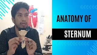 Anatomy of sternum Manubrium body and xiphoid process Bangla Lecture [upl. by Riamo870]