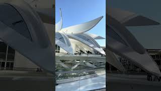 Dubai Expo 2022 shorts [upl. by Alywt]