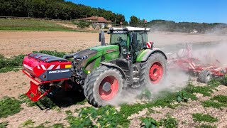 🌱FENDT 933 au SEMIS de COUVERTS💨 Horsch Joker 5HD  ManAGRI 117 [upl. by Thisbe830]