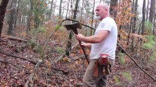 Limbing a Tree and Dangerous Bent Sapling [upl. by Murial]