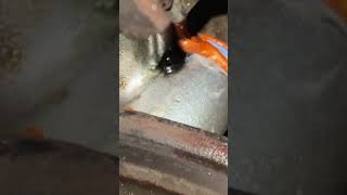 84 DeVille timing chain cover gasket replacement [upl. by Scarrow864]