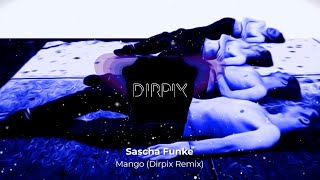 Sascha Funke  Mango Dirpix Remix [upl. by Edecrem]