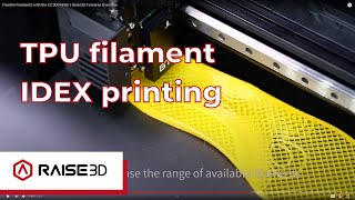 Flexible Filaments with the E2 3D Printer  Raise3D Features Overview [upl. by Ssalguod]