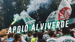 A FESTA DA TORCIDA DO PALMEIRAS ANTES DO DERBY [upl. by Grae]