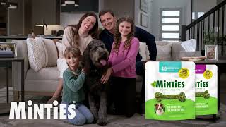 Animal Actor quotCharliequot Minties Commercial [upl. by Keelby414]