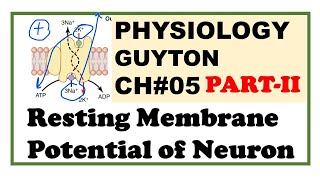 Chapter5PartII  Resting Membrane Potential  Guyton Physiology  Dr Asif Lectures [upl. by Ecyob453]