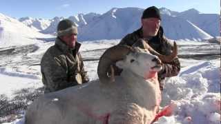 Hunting Dall Sheep Caribou and Moose with Arctic Red River Outfitters 9 [upl. by Anidam405]