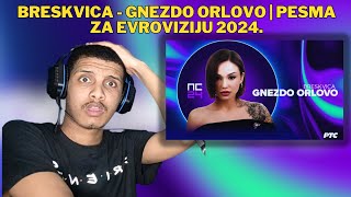 FIRST TIME REACTING TO  Breskvica  Gnezdo orlovo  Pesma za Evroviziju 2024 [upl. by Anilra]